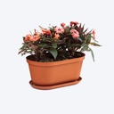 MACETERO OVALADA RAFIA 40CM TERRA