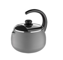 Tetera Con Tapa 19 Cm 2,00L Especiarias Plata de Aluminio