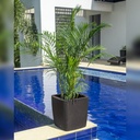 MACETERO CAPRI 28 LITROS TAUPE, MQ