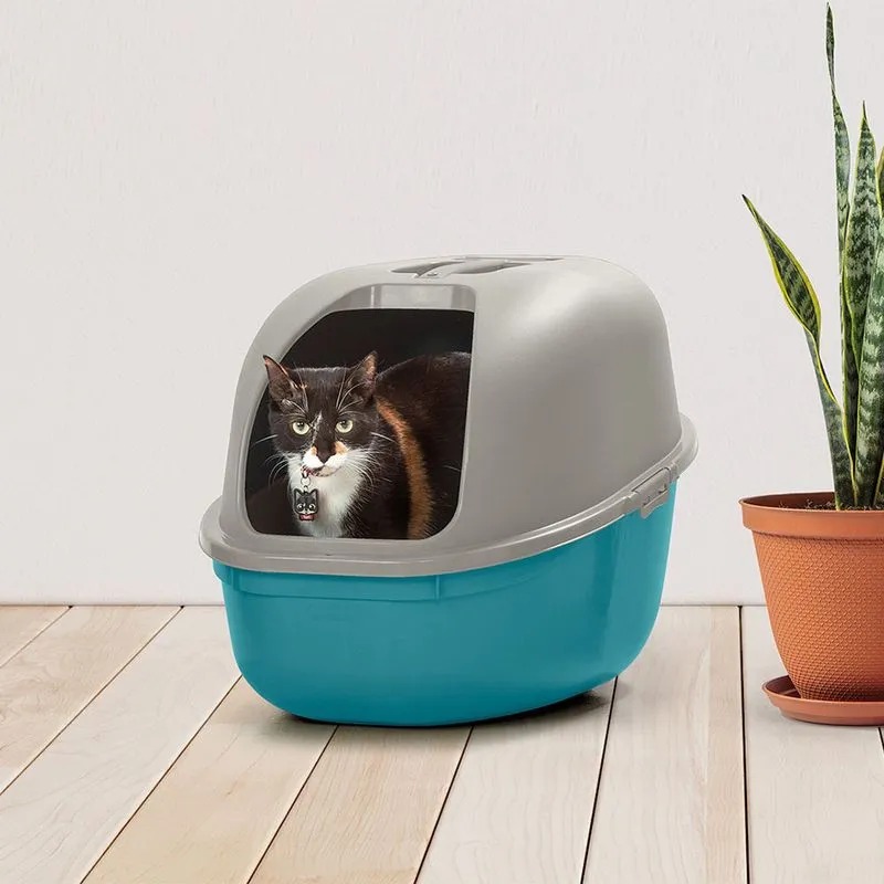ARENERO PARA GATO AZUL/GRIS