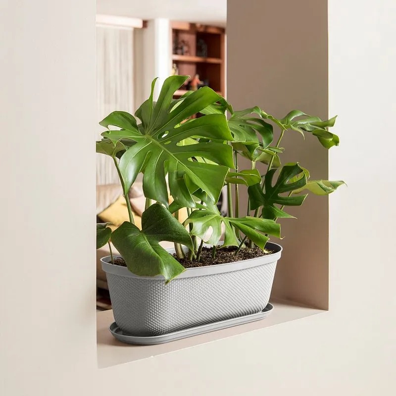 MACETERO OVALADA RAFIA 60CM GRIS HIELO