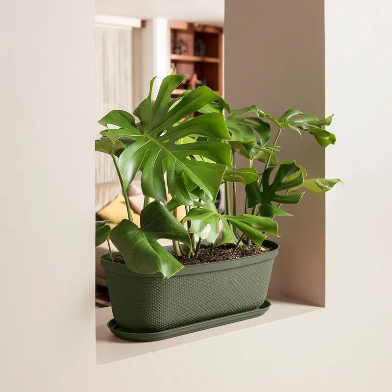 MACETERO OVAL RAFIA 60CM VERDE
