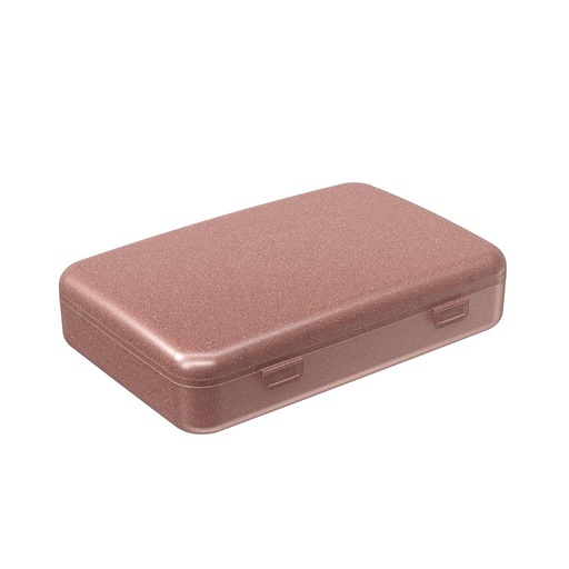 [13111/0485] SUPER NECESARIA DE PLASTICO 23,5 X 15,8 X 5,5 CM PERSONAL ROSA GLITER 