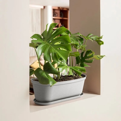 [12988] MACETERO OVALADA RAFIA 60CM GRIS HIELO