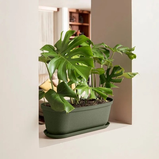 [12993] MACETERO OVAL RAFIA 60CM VERDE