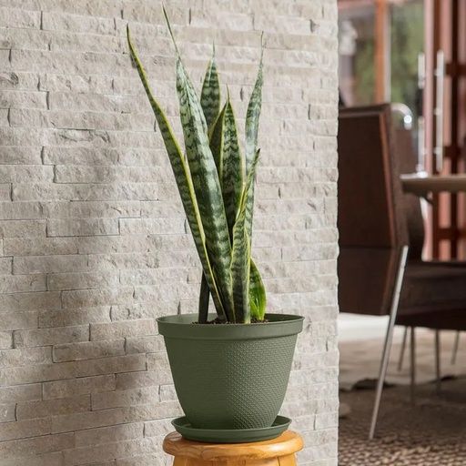 [12989] MACETERO RED RAFIA 25CM VERDE